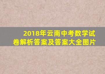 2018年云南中考数学试卷解析答案及答案大全图片