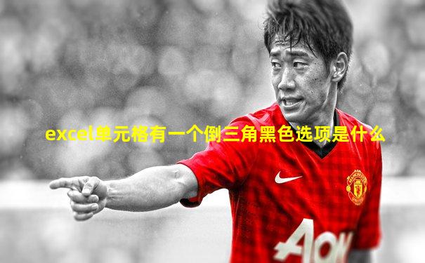 excel单元格有一个倒三角黑色选项是什么