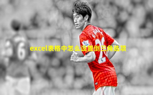 excel表格中怎么设置倒三角选项
