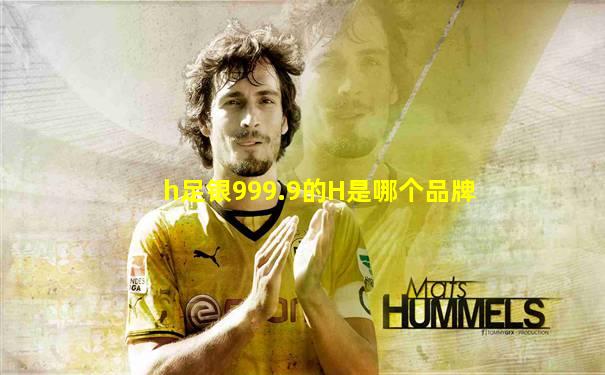 h足银999.9的H是哪个品牌