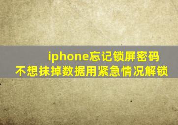 iphone忘记锁屏密码不想抹掉数据用紧急情况解锁