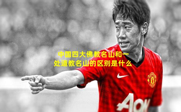 中国四大佛教名山和一处道教名山的区别是什么