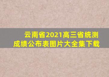 云南省2021高三省统测成绩公布表图片大全集下载