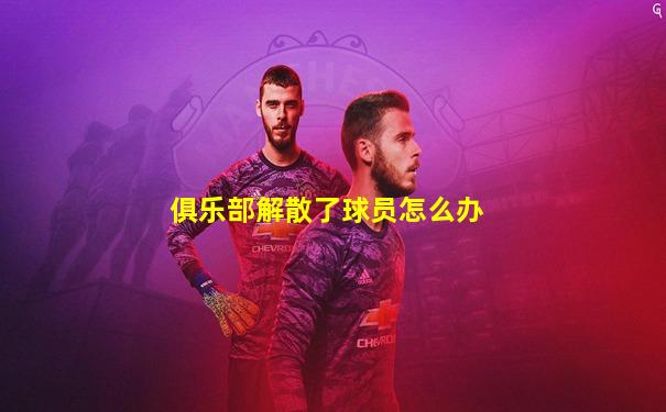 俱乐部解散了球员怎么办