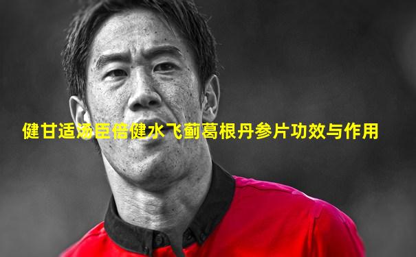 健甘适汤臣倍健水飞蓟葛根丹参片功效与作用