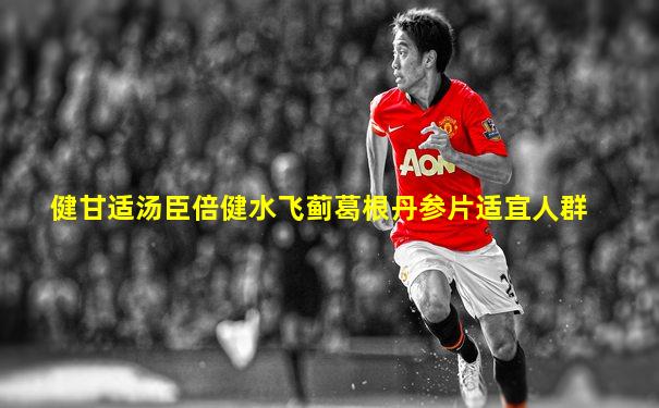 健甘适汤臣倍健水飞蓟葛根丹参片适宜人群
