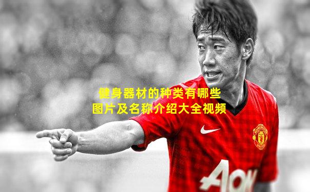 健身器材的种类有哪些图片及名称介绍大全视频