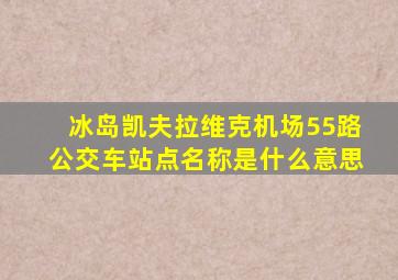 冰岛凯夫拉维克机场55路公交车站点名称是什么意思