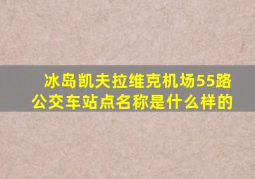 冰岛凯夫拉维克机场55路公交车站点名称是什么样的