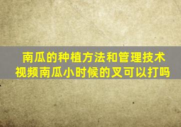 南瓜的种植方法和管理技术视频南瓜小时候的叉可以打吗
