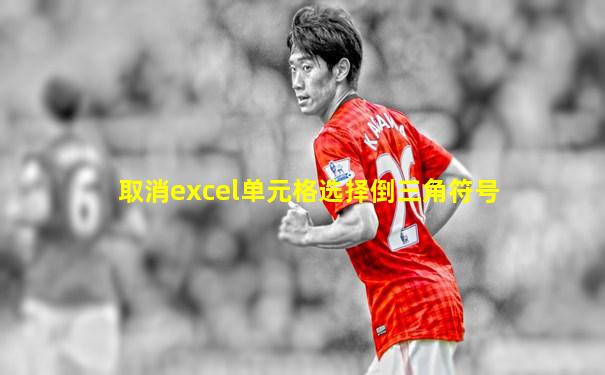 取消excel单元格选择倒三角符号