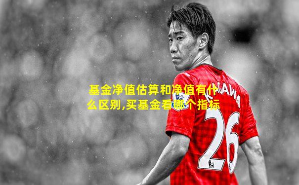 基金净值估算和净值有什么区别,买基金看哪个指标