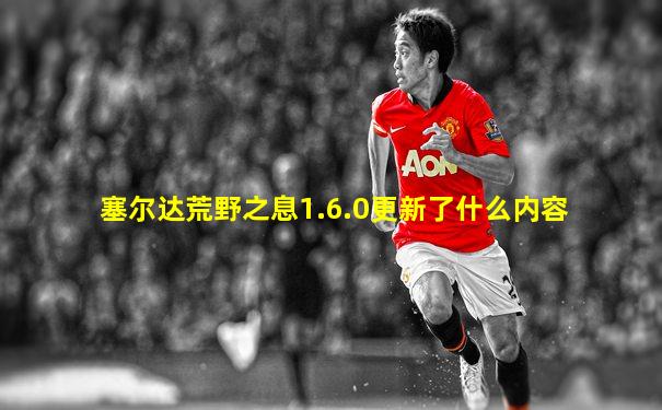 塞尔达荒野之息1.6.0更新了什么内容