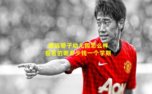 威远骄子幼儿园怎么样报名的呢多少钱一个学期