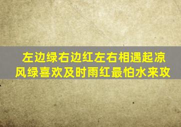 左边绿右边红左右相遇起凉风绿喜欢及时雨红最怕水来攻