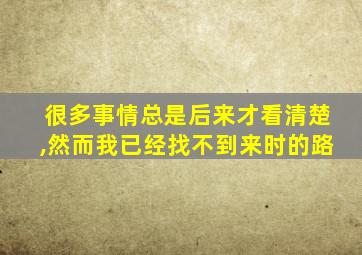 很多事情总是后来才看清楚,然而我已经找不到来时的路