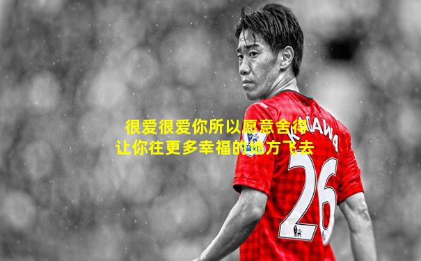 很爱很爱你所以愿意舍得让你往更多幸福的地方飞去