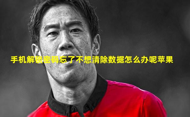 手机解锁密码忘了不想清除数据怎么办呢苹果