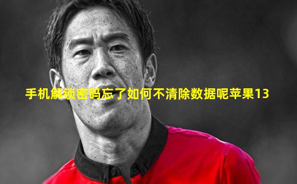 手机解锁密码忘了如何不清除数据呢苹果13