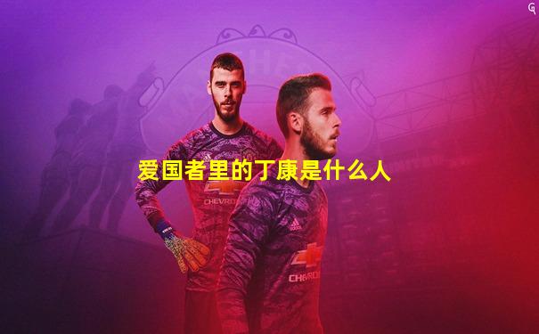 爱国者里的丁康是什么人