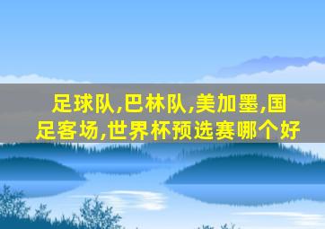 足球队,巴林队,美加墨,国足客场,世界杯预选赛哪个好