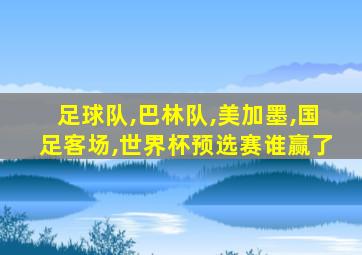 足球队,巴林队,美加墨,国足客场,世界杯预选赛谁赢了