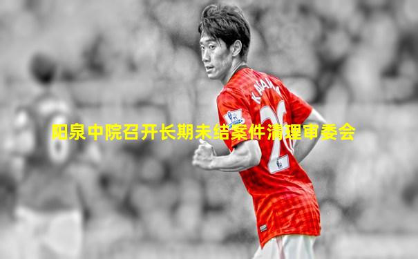 阳泉中院召开长期未结案件清理审委会