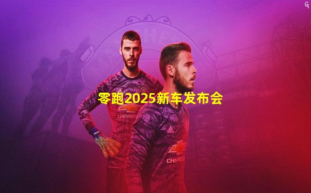零跑2025新车发布会