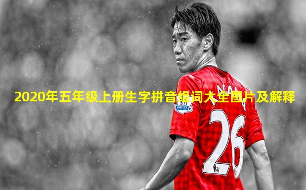2020年五年级上册生字拼音组词大全图片及解释
