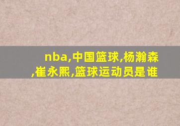 nba,中国篮球,杨瀚森,崔永熙,篮球运动员是谁
