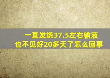一直发烧37.5左右输液也不见好20多天了怎么回事