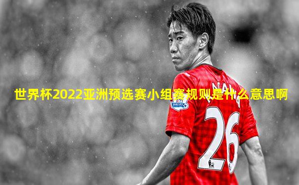 世界杯2022亚洲预选赛小组赛规则是什么意思啊