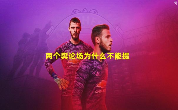 两个舆论场为什么不能提