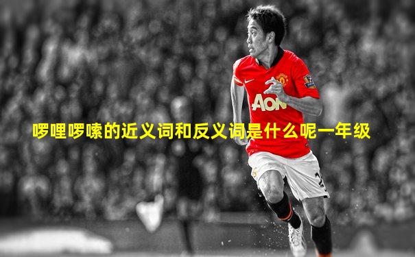 啰哩啰嗦的近义词和反义词是什么呢一年级