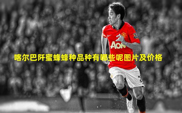 喀尔巴阡蜜蜂蜂种品种有哪些呢图片及价格