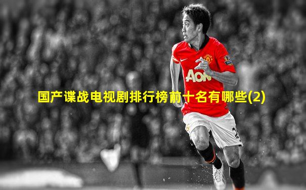国产谍战电视剧排行榜前十名有哪些(2)