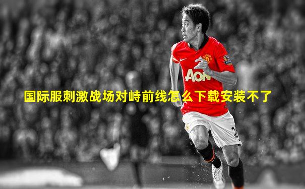国际服刺激战场对峙前线怎么下载安装不了