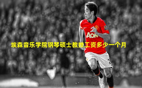埃森音乐学院钢琴硕士教授工资多少一个月