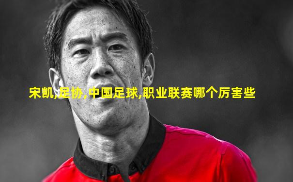 宋凯,足协,中国足球,职业联赛哪个厉害些