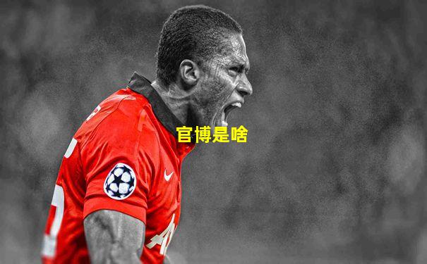 官博是啥