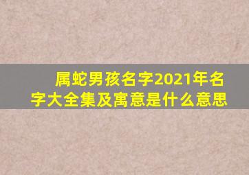 属蛇男孩名字2021年名字大全集及寓意是什么意思