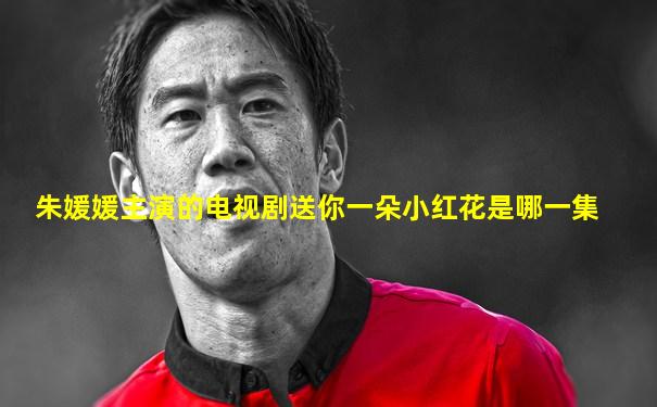 朱媛媛主演的电视剧送你一朵小红花是哪一集