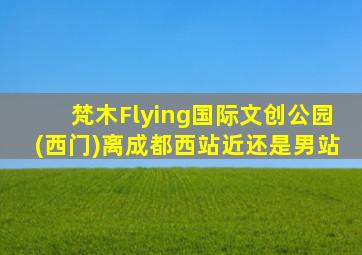 梵木Flying国际文创公园(西门)离成都西站近还是男站