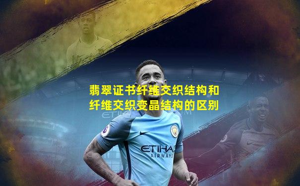 翡翠证书纤维交织结构和纤维交织变晶结构的区别