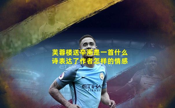 芙蓉楼送辛渐是一首什么诗表达了作者怎样的情感