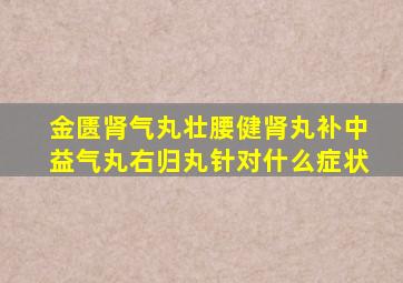 金匮肾气丸壮腰健肾丸补中益气丸右归丸针对什么症状