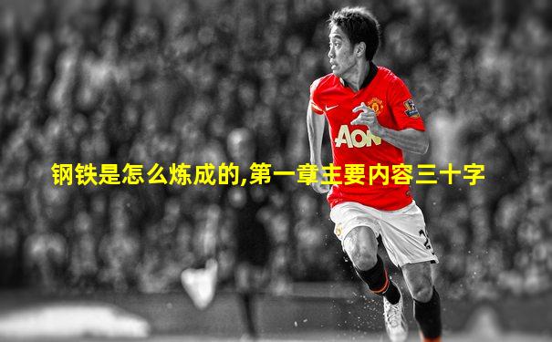 钢铁是怎么炼成的,第一章主要内容三十字