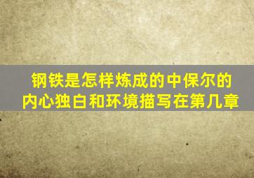 钢铁是怎样炼成的中保尔的内心独白和环境描写在第几章