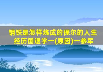 钢铁是怎样炼成的保尔的人生经历图退学一(原因)一参军
